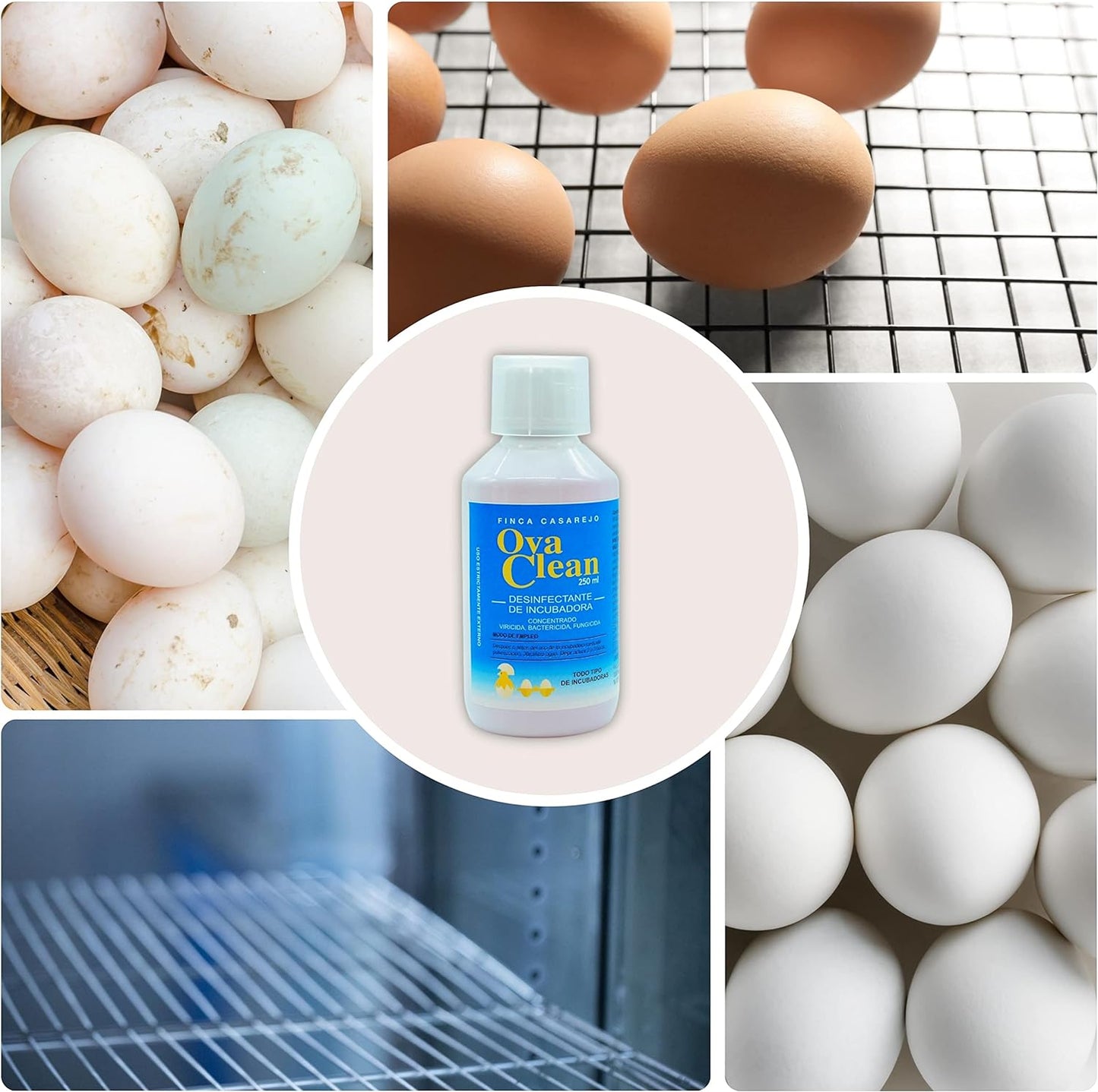 Ovaclean - Desinfectante Para Limpiar Huevos Y Material De Incubación_2