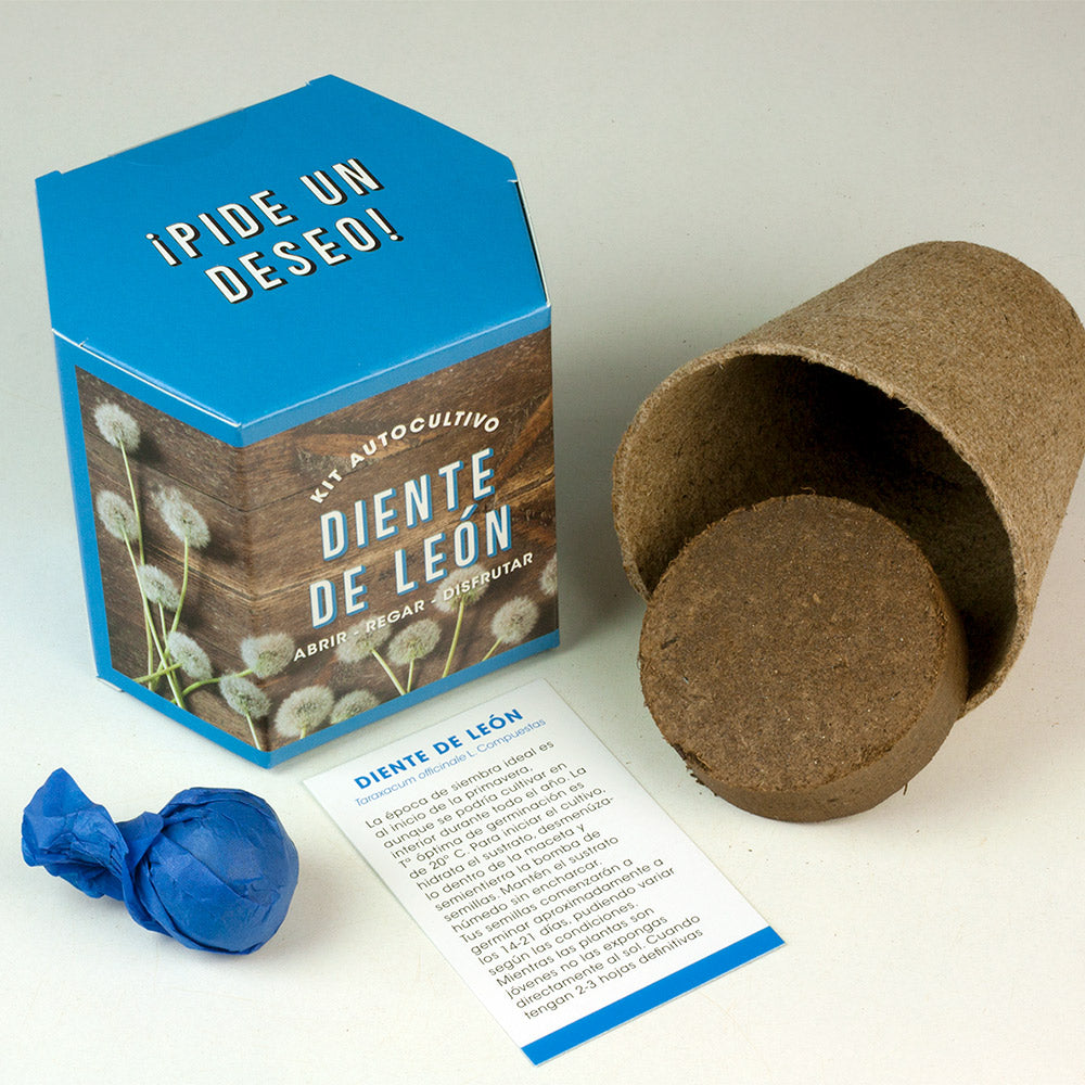 Kit Autocultivo Diente de León Cultiva Flores Amarillas en Casa | Regalo Educativo - Resetea_1