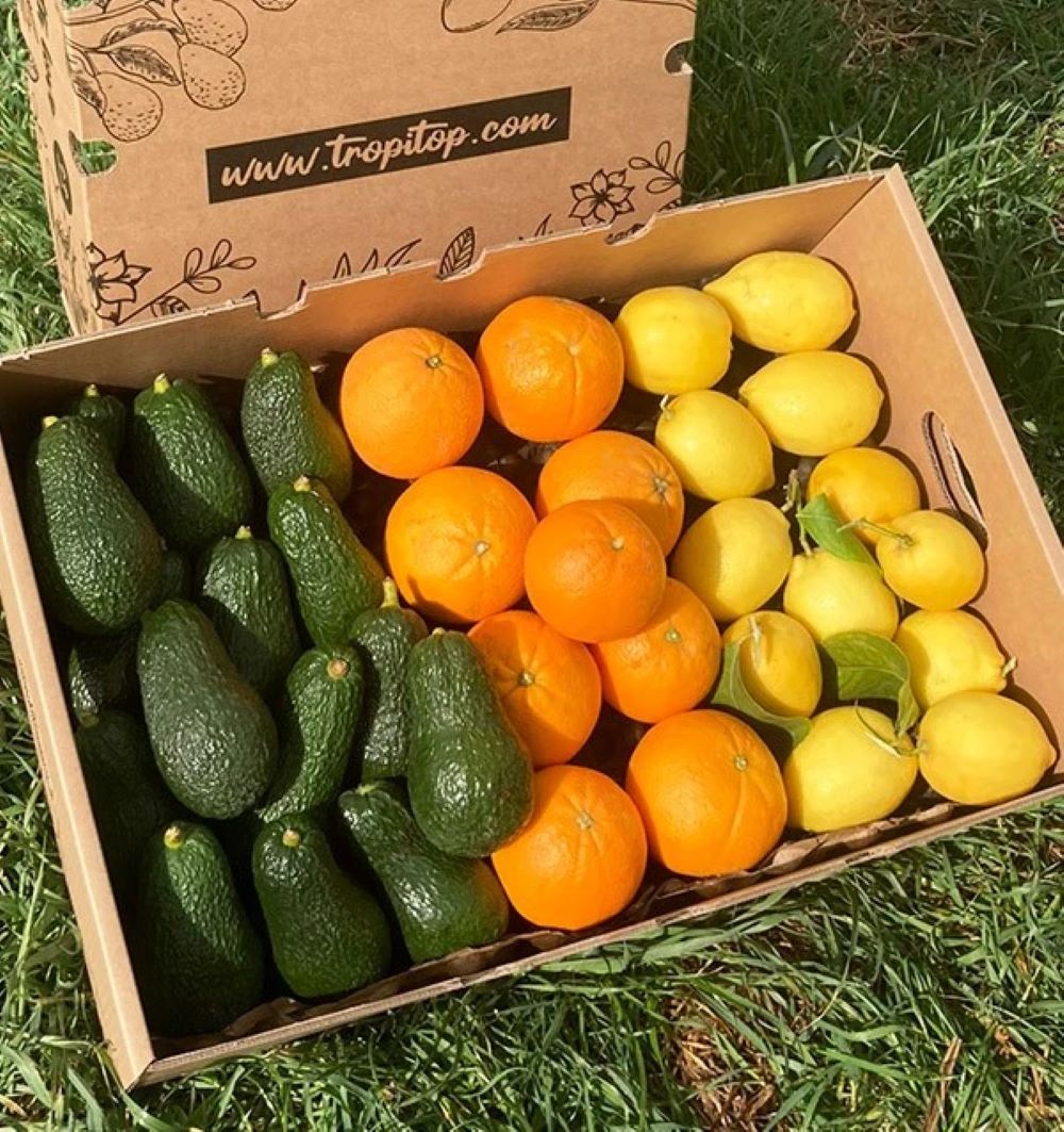 Pack Desayuno: Aguacates Hass, Naranjas Valencianas Y Limones Verna Tropitop 6kg_1