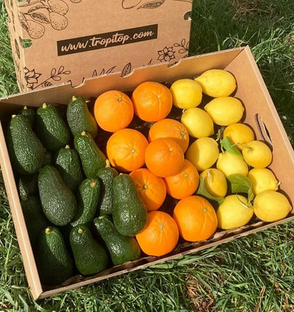 Pack Desayuno: Aguacates Hass, Naranjas Valencianas Y Limones Verna Tropitop 6kg_1
