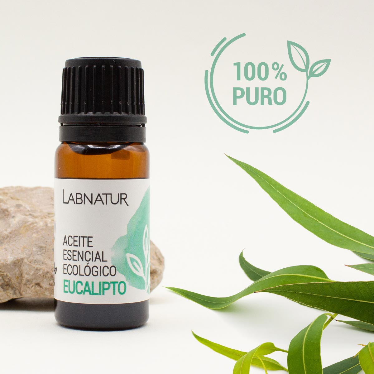 Aceite de Eucalipto Puro 10 ml | Refrescante y Purificante | Aromaterapia y Bienestar_2