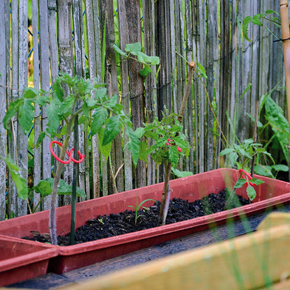Pack 25 Clips Para Tomateras Tomatoclip 4.5x6.2 Cm Rojo Nortene_2