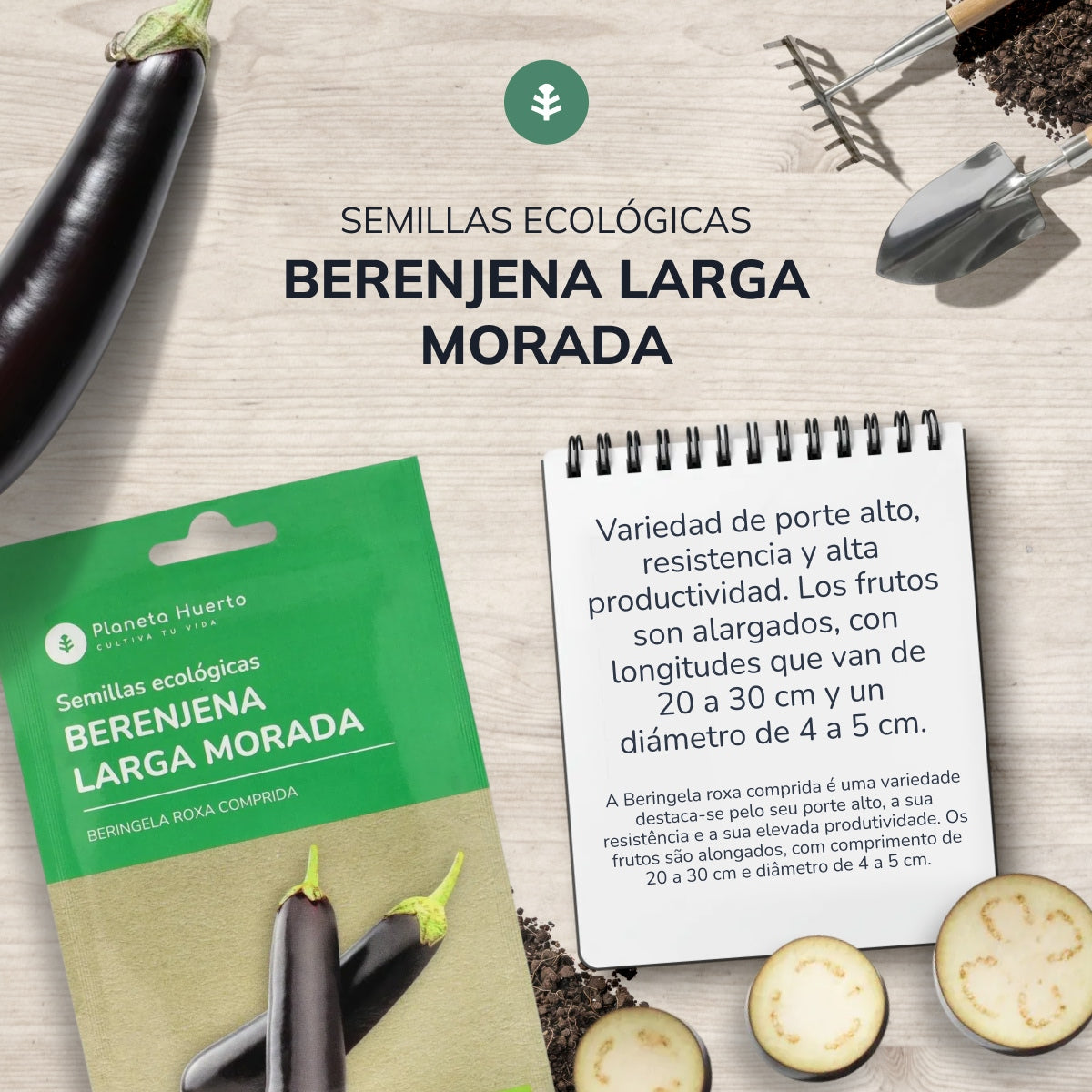 Semillas de Berenjena larga morada ecológicas Planeta Huerto