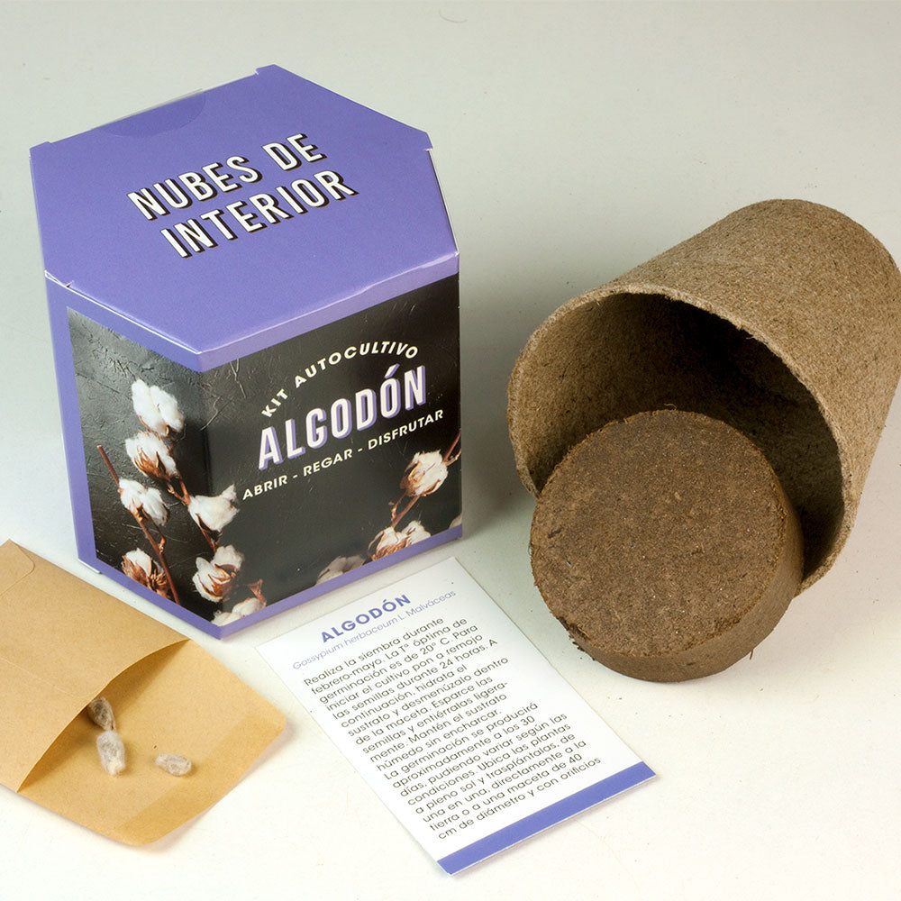 Kit Autocultivo de Algodón Cultiva tu Propia Planta en Casa | Regalo Original y Decorativo - Resetea_1