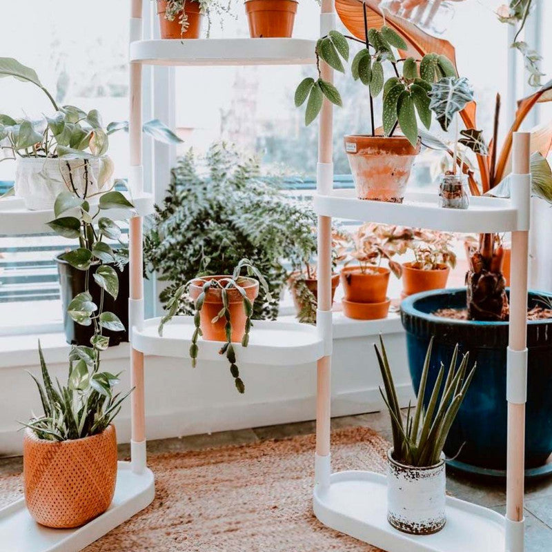 Soporte Modular Citysens De 6 Bandejas Blanco, Con 3 Plantas De Regalo_3