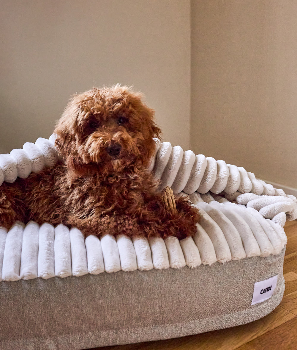 Cafide Cama Con Capucha Para Perro Con Tejido Chenilla Beige. Modelo Maso. Talla S (50x60x10 Cm)_3