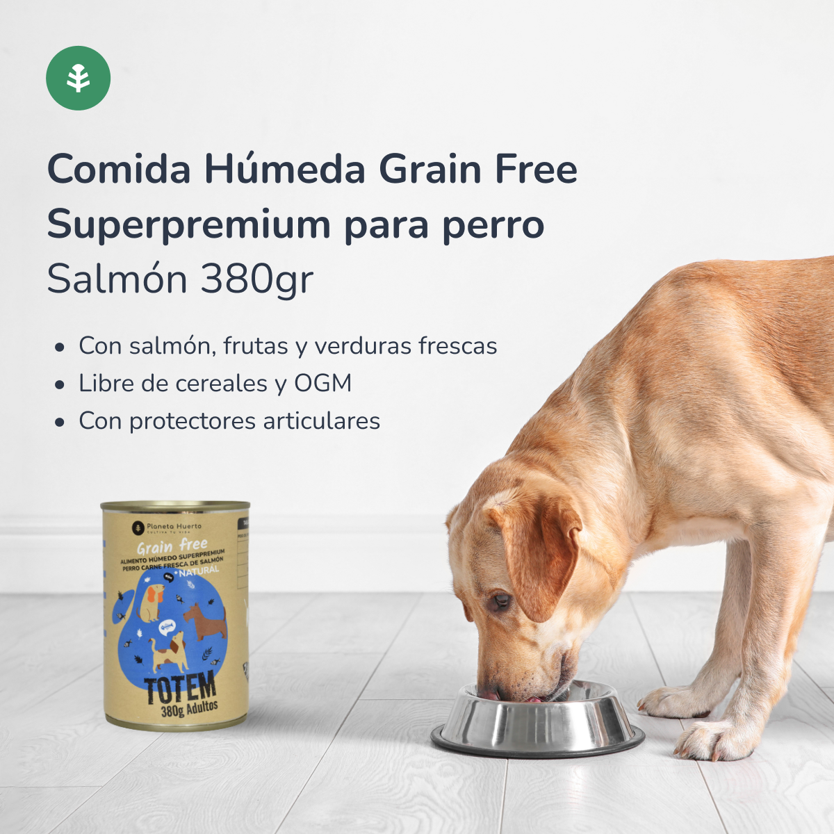 Pack 12 x Comida Húmeda Grain Free Superpremium para perro Salmón Planeta Huerto 380 g