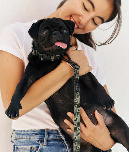 Cafide Collar De Material Pet Reciclado Verde. Modelo Juno.