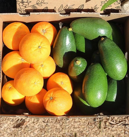 Caja 4kg Mix Aguacate Bacon Y Naranjas Valencianas