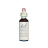 Bach 05 Cerato 20 Ml ( Flores De Bach Ceratogtima) Bach