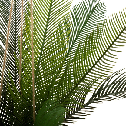 Olla De Coco De Palma Cuba H 50_2