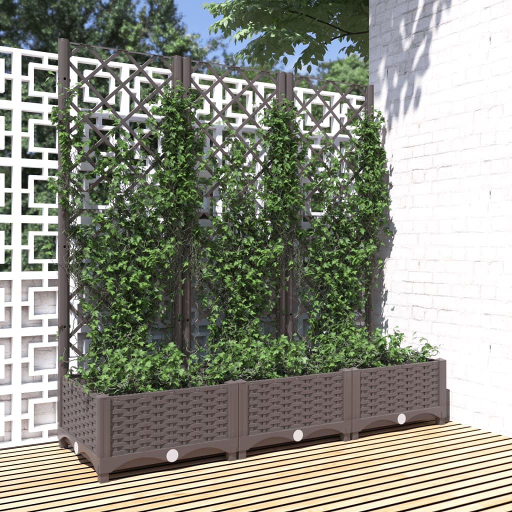Jardinera De Jardín Con Enrejado Marrón 120x40x121,5 Cm Pp_1