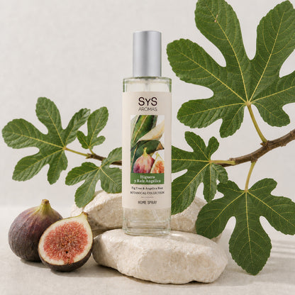 Ambientador Pulverizador Higuera y Raíz Angélica SYS Aromas 100 ml | Herbal y Frutado | Relajante_1