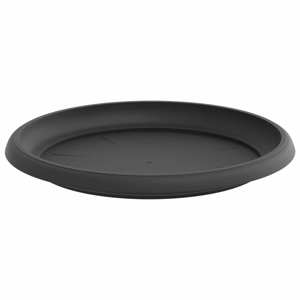 Bandeja Redonda Para Flores 24 Uds. Negro Ø 23,5 X 2,5 Cm_4