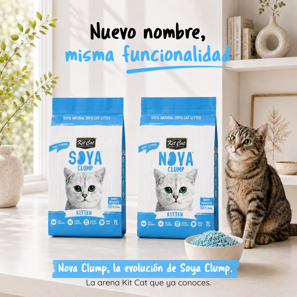 Kit Cat Arena Eco Nova - Kitten Baby Powder 7 L Arena para gatos