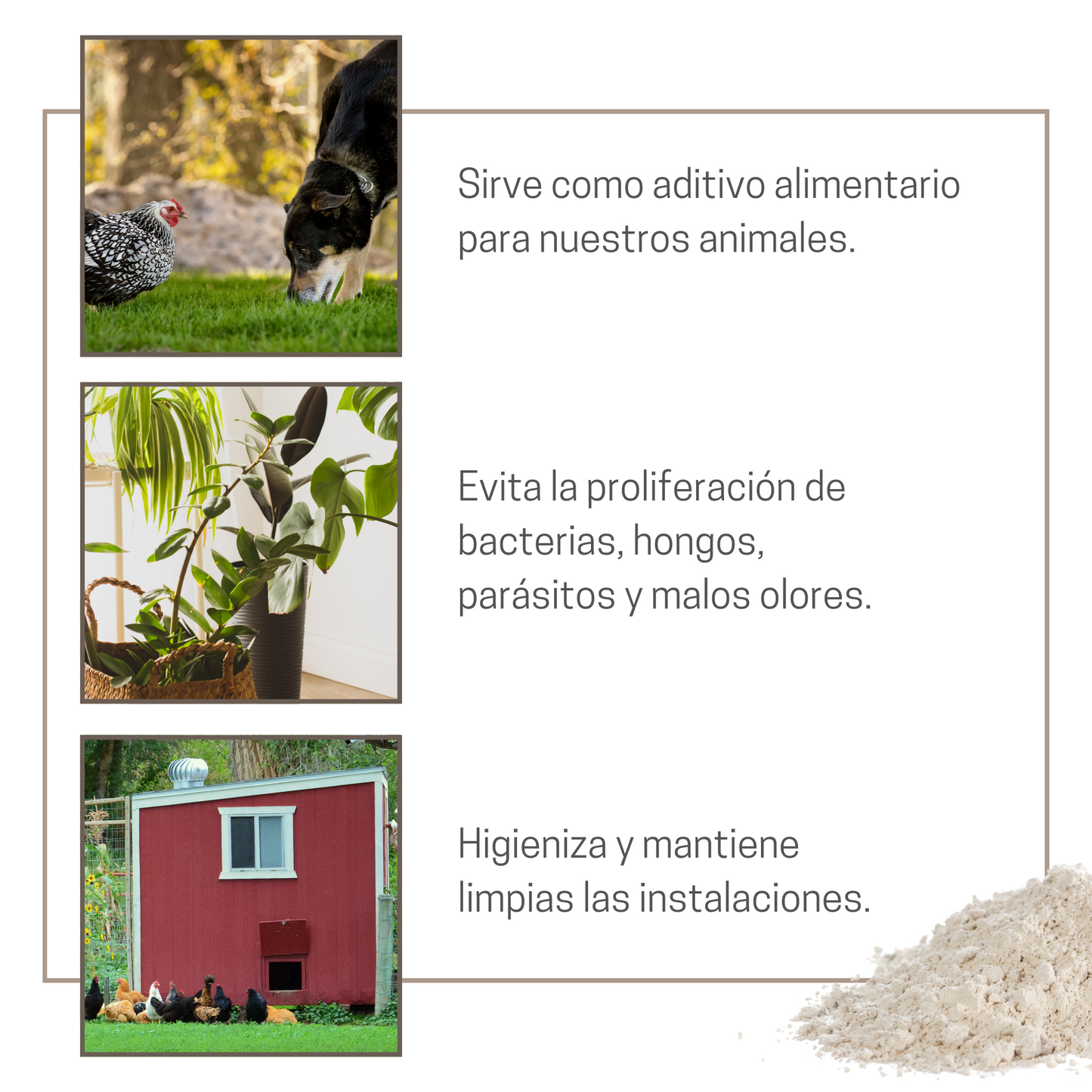 Tierra De Diatomeas Para Ayudar A Mantener El Gallinero Libre De Parásitos Producto Natural  - Envase Pulverizador 225 G_3