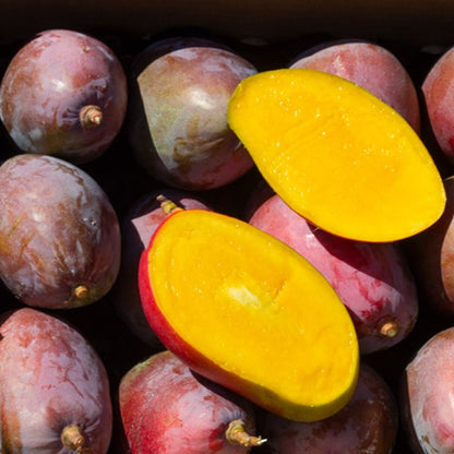 Mangos Ecológico Osteen Caja de 4kg