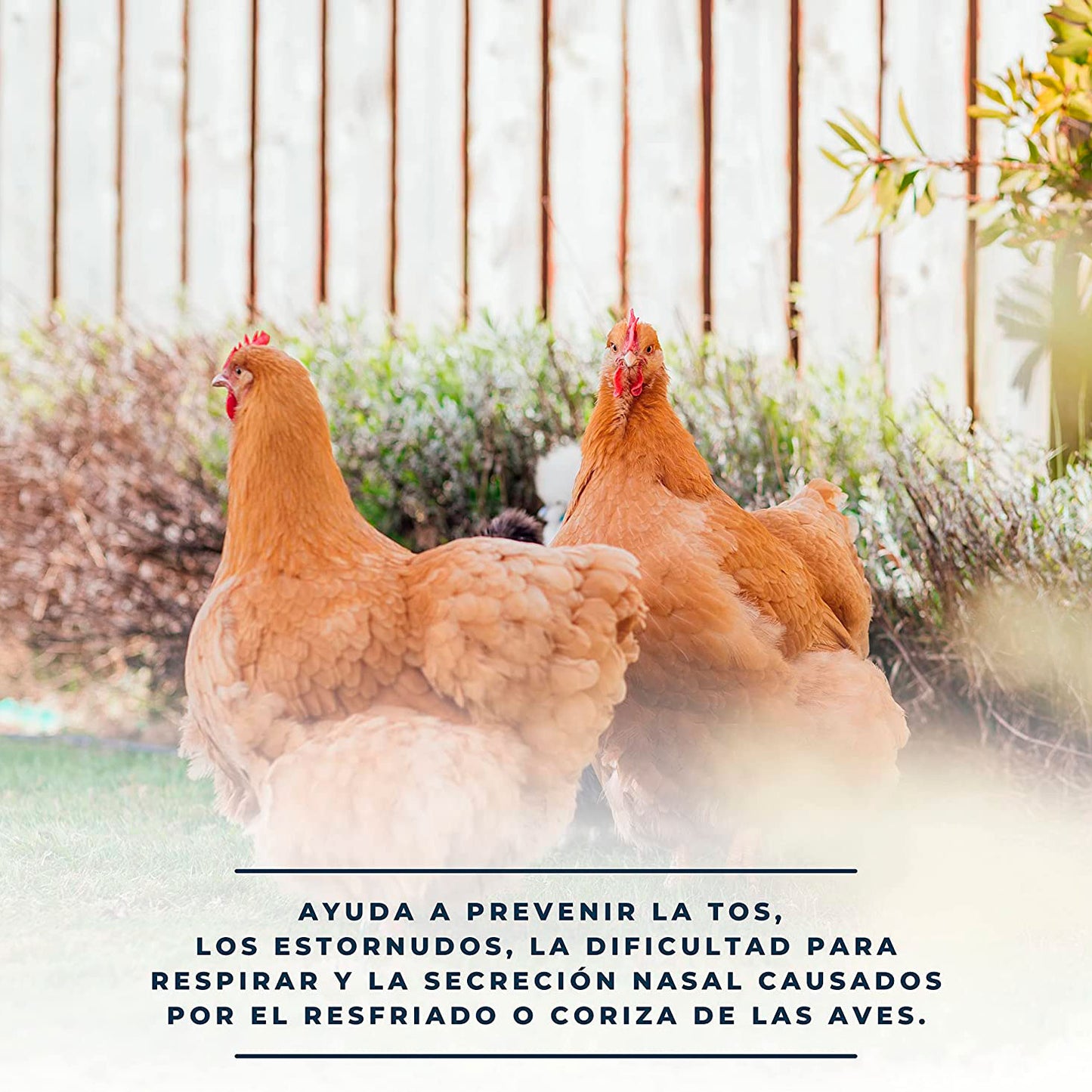 Respibalm - Bálsamo Natural Para Animales 500 Ml. Despeja Las Vías Respiratorias De Perros, Gallinas, Conejos, Rumiantes - Descongestionante Natural_2