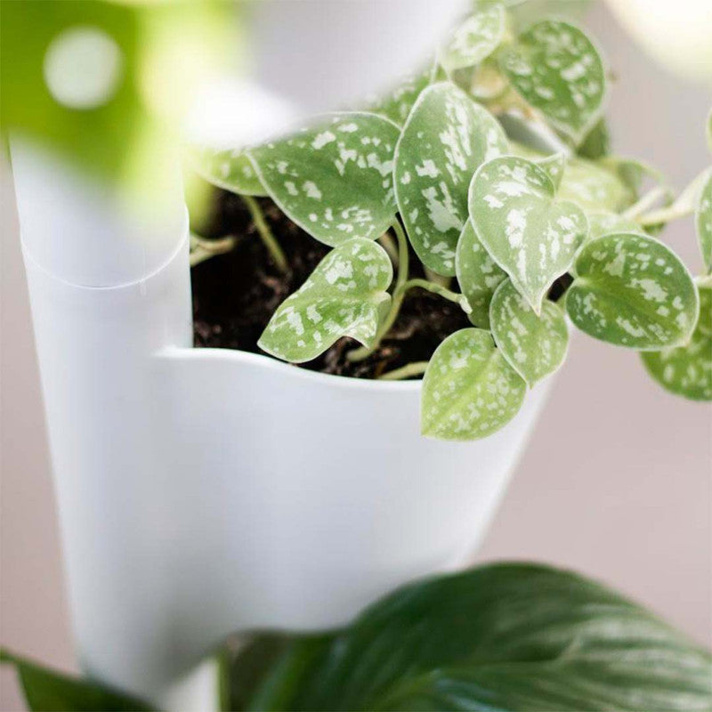 Macetero Vertical Citysens Con Riego Inteligente De 3 Macetas Blanco, Con 3 Plantas De Regalo_3