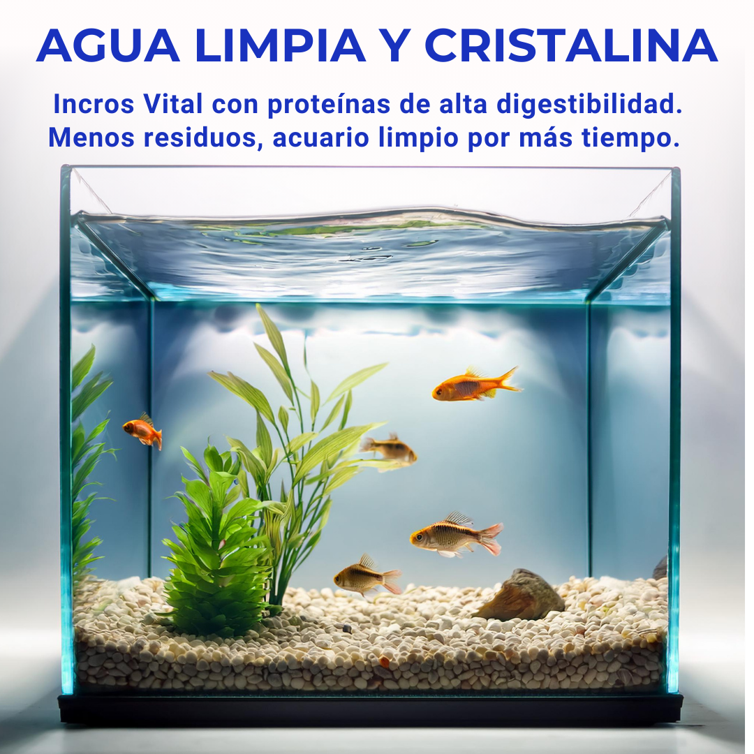 Comida Para Peces Tropicales, Alimento Premium En Escamas, No Ensucia El Agua, Incros Vital_2