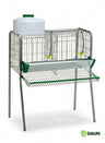 Batería Ponedoras Gaun - 2 Departamentos