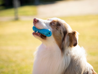 Pack de higiene dental para perros medianos con hueso Masca mascota 100 g_1