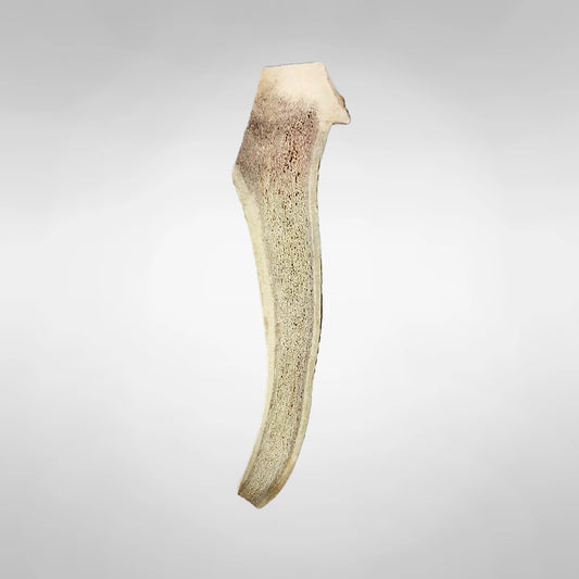 Mordedor De Asta De Ciervo Partida Para Perro_0