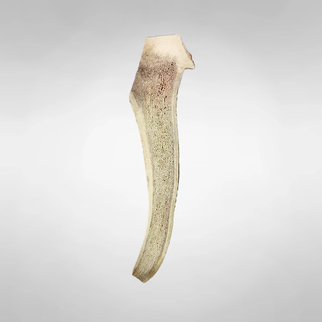 Mordedor De Asta De Ciervo Partida Para Perro_0