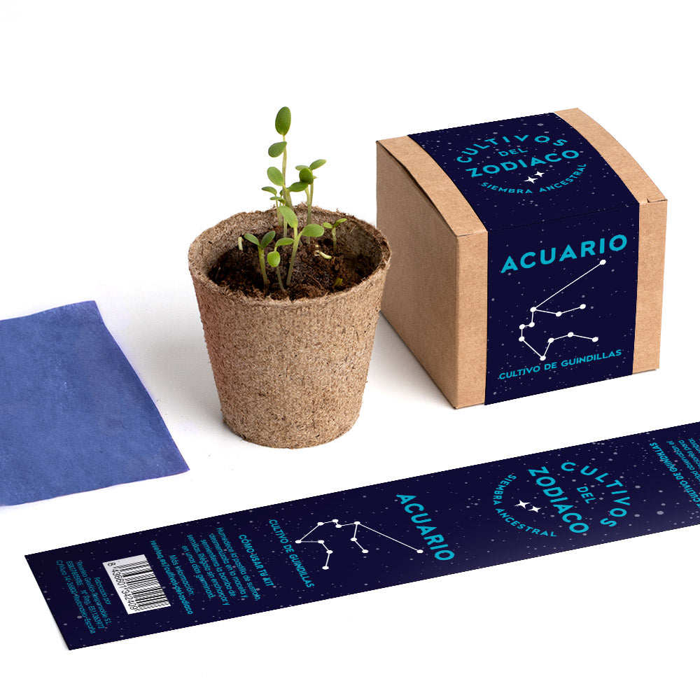 Cultivos Del Zodiaco – Acuario | Kit De Cultivo Con Semillas De Guindillas_4