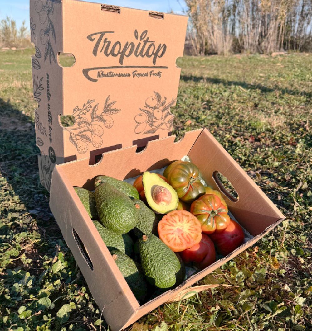Caja 4kg Mix Aguacates Hass Y Tomate Raf | 2kg De Cada Fruta Tropitop_1