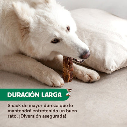 Mordedor natural Tráqueas de ternera Wild Balance 100 g