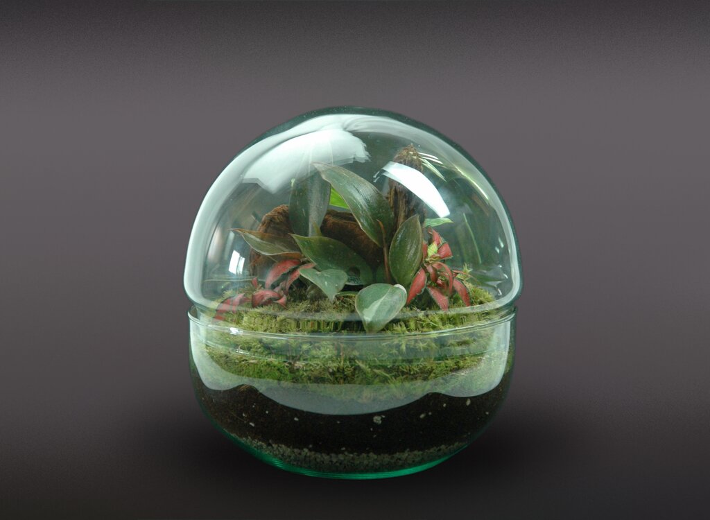 Nanogarden Terrario Ball Mix 4p 20x20cm