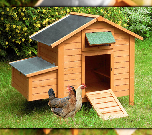 Gallinero Island Premium Para 6-8 Gallinas - Nido Con Dos Compartimentos Y Acceso Desde El Exterior_0