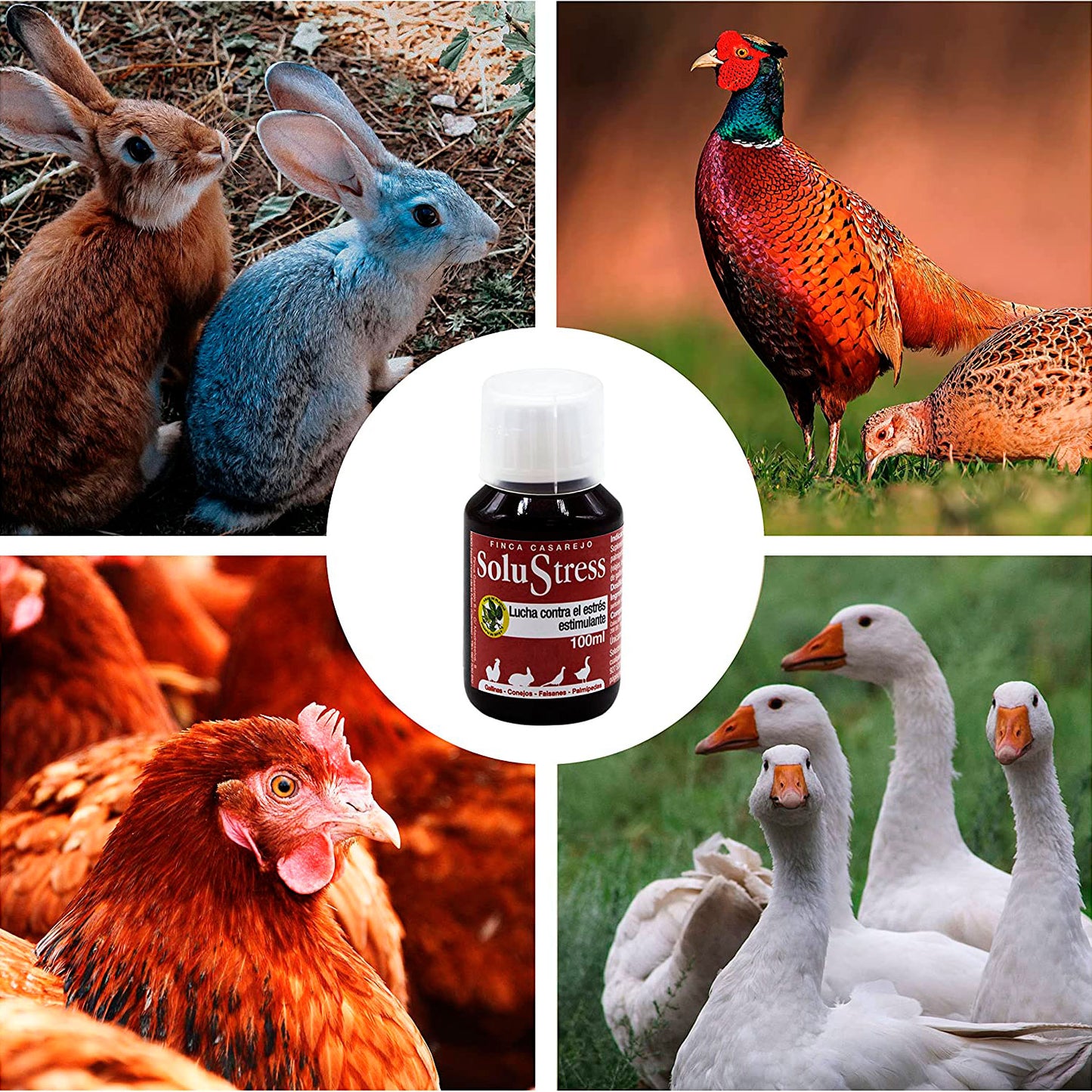 SoluStress - Apoyo nutricional a los animales después de viajes y otras situaciones de estrés - Producto 100 % natural_3