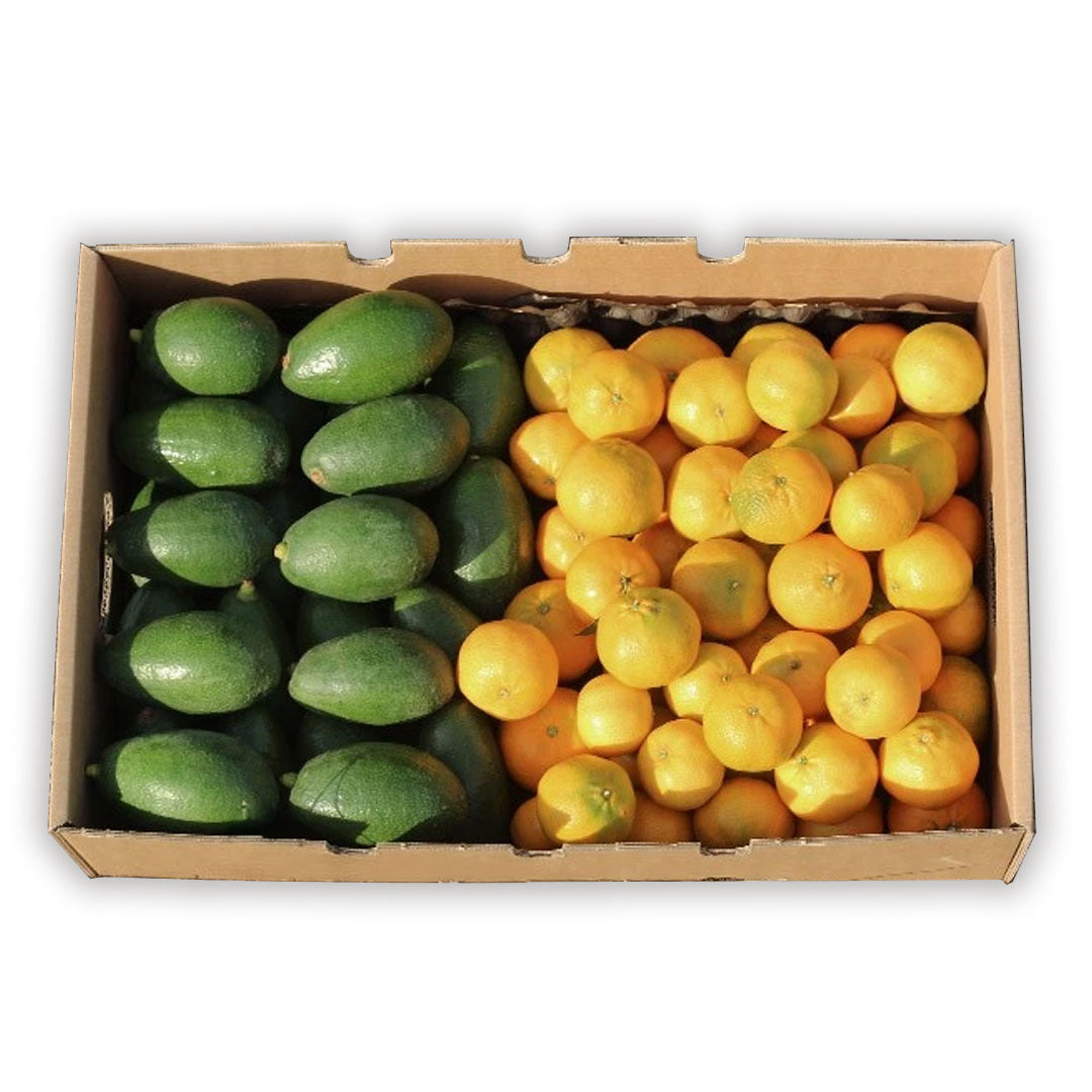 Caja 9kg Mix Aguacates De Piel Lisa Y Mandarinas | 4,5 Kg De Cada Fruta_0