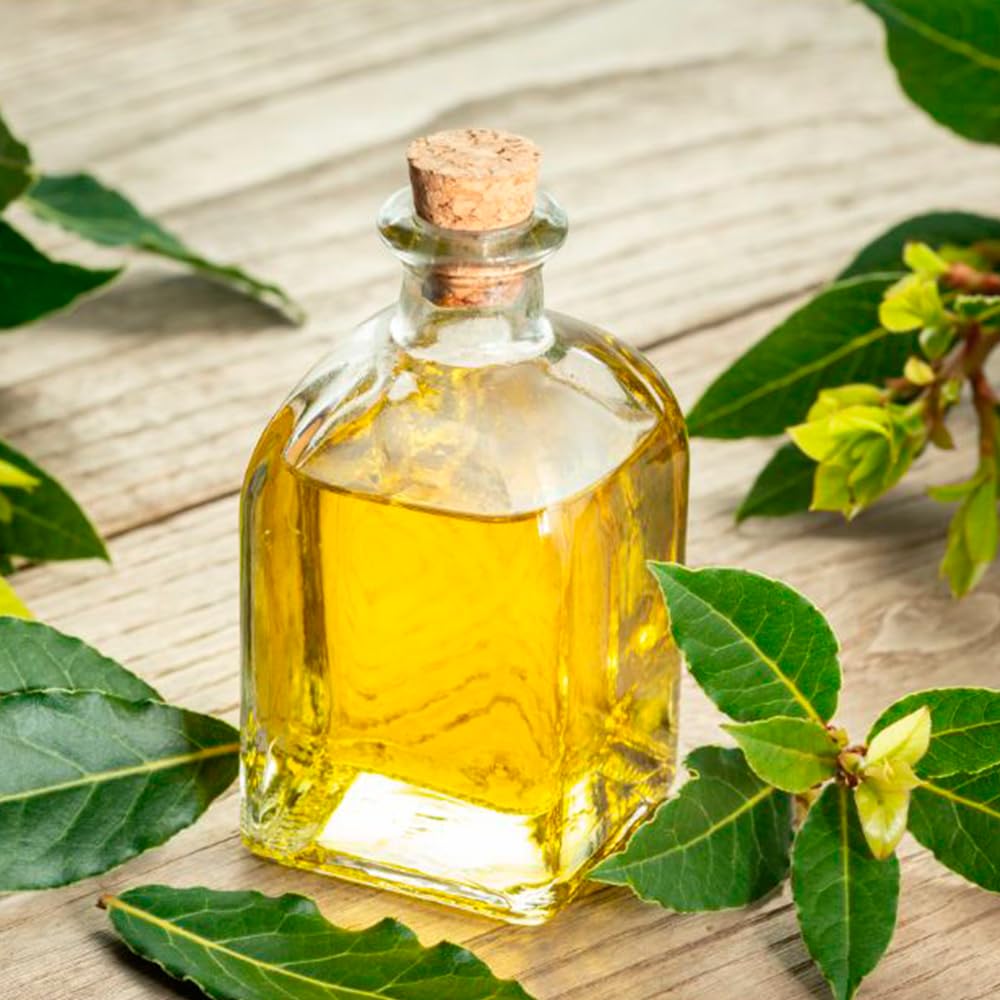 Pack 5 Jabón Natural De Laurel - Para Piel Grasa, Con Acné - Regula El Exceso De Grasa - Alivia Irritaciones Y Picores_1