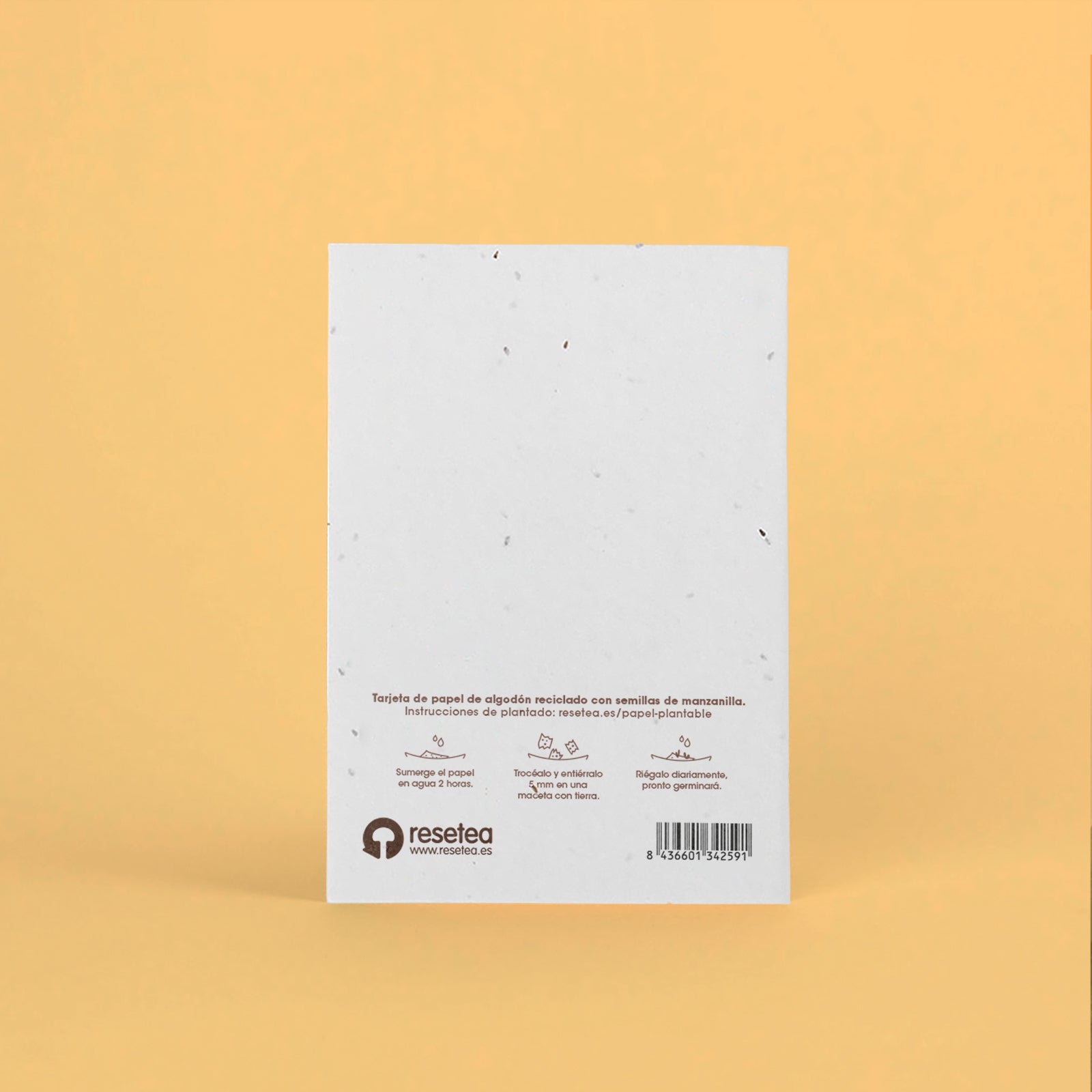 Postal Plantable Love Is In The Earth Con Semillas De Manzanilla – Regalo Romántico Que Florece | Resetea_1