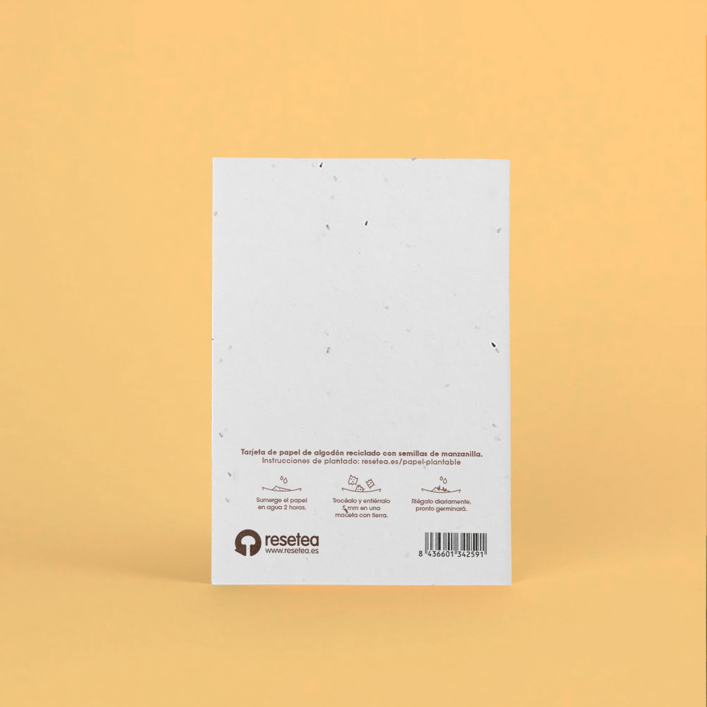 Postal Plantable "Love Is In The Earth" con Semillas de Manzanilla – Regalo Romántico - Resetea_1