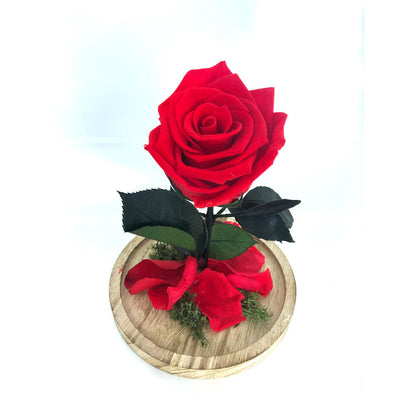 Mundo Eterno Rosa En Cúpula Roja 12x20_2