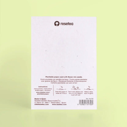 Postal Plantable Picnic Semillas de Flores | Papel de Algodón Reciclado | Regalo Original - Resetea_1