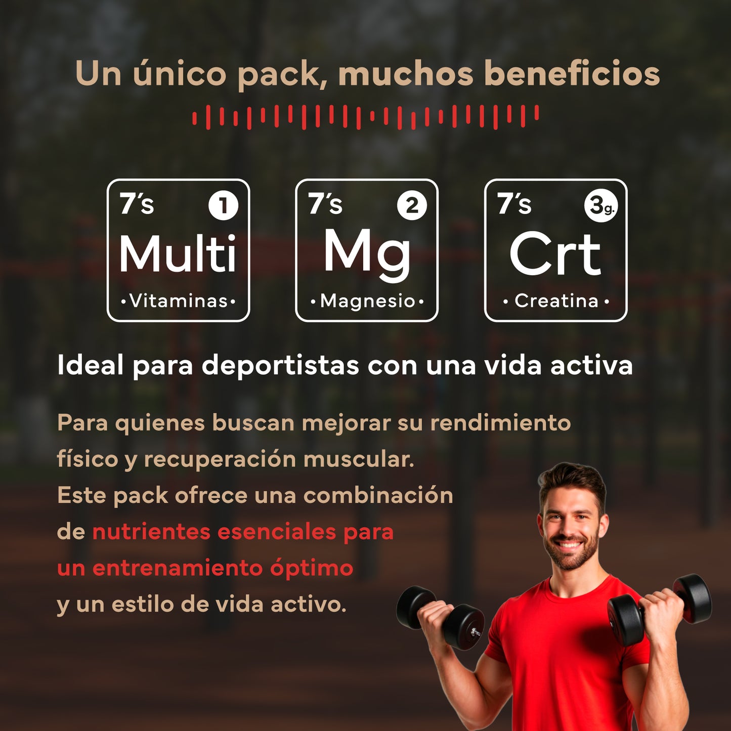 Pack Rendimiento. Con Creatina, Magnesio y Multivitaminas. Sevens Nutrition. Energía y Rendimiento_2