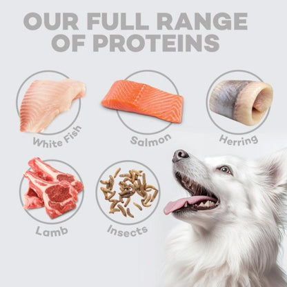 Nature's Protection White Dog Pienso grain free Pescado cachorro razas pequeñas 1,5 Kg