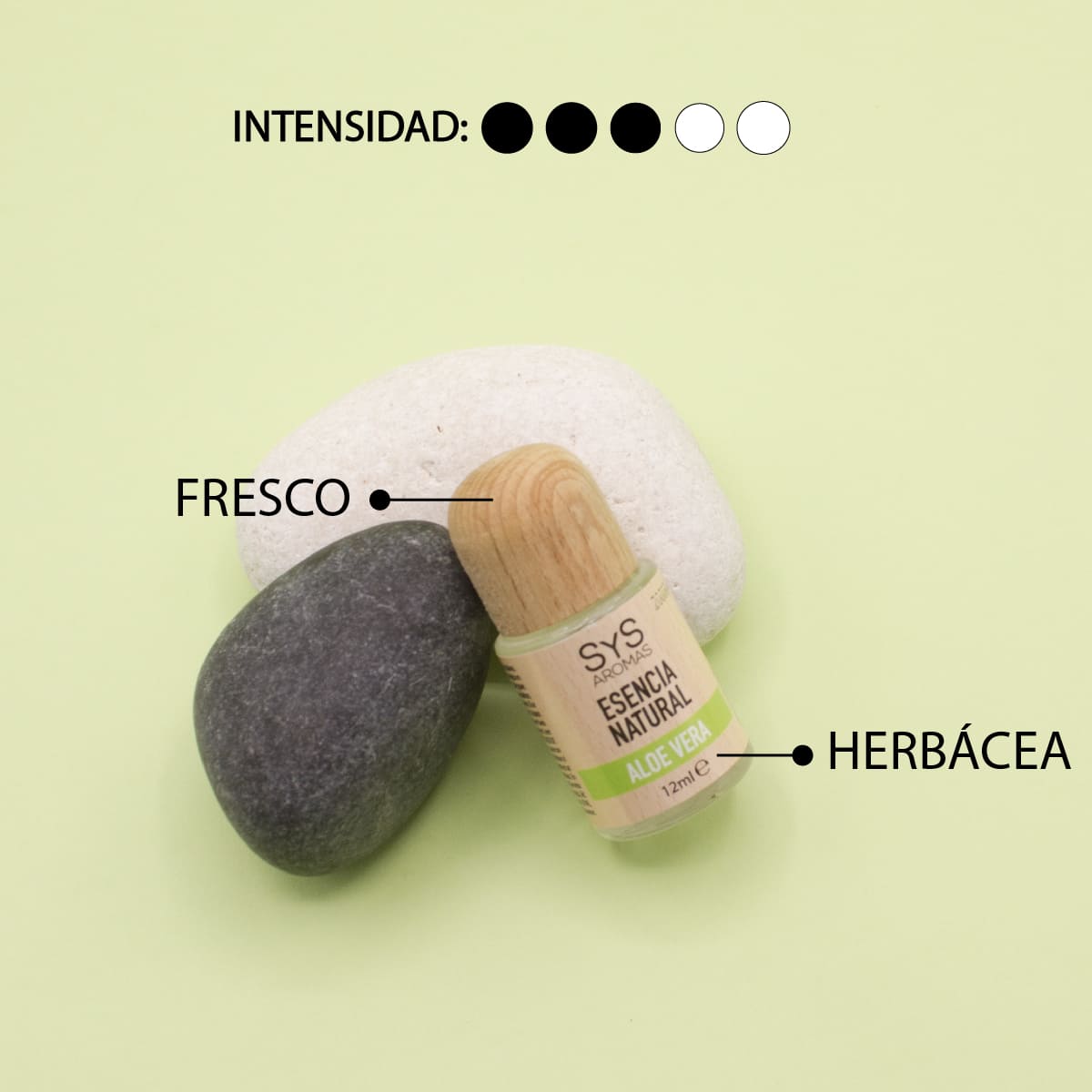 Esencia Natural Aloe Vera SYS Aromas 12 ml | Aroma Fresco y Herbal | Para Quemadores y Humidificadores_3