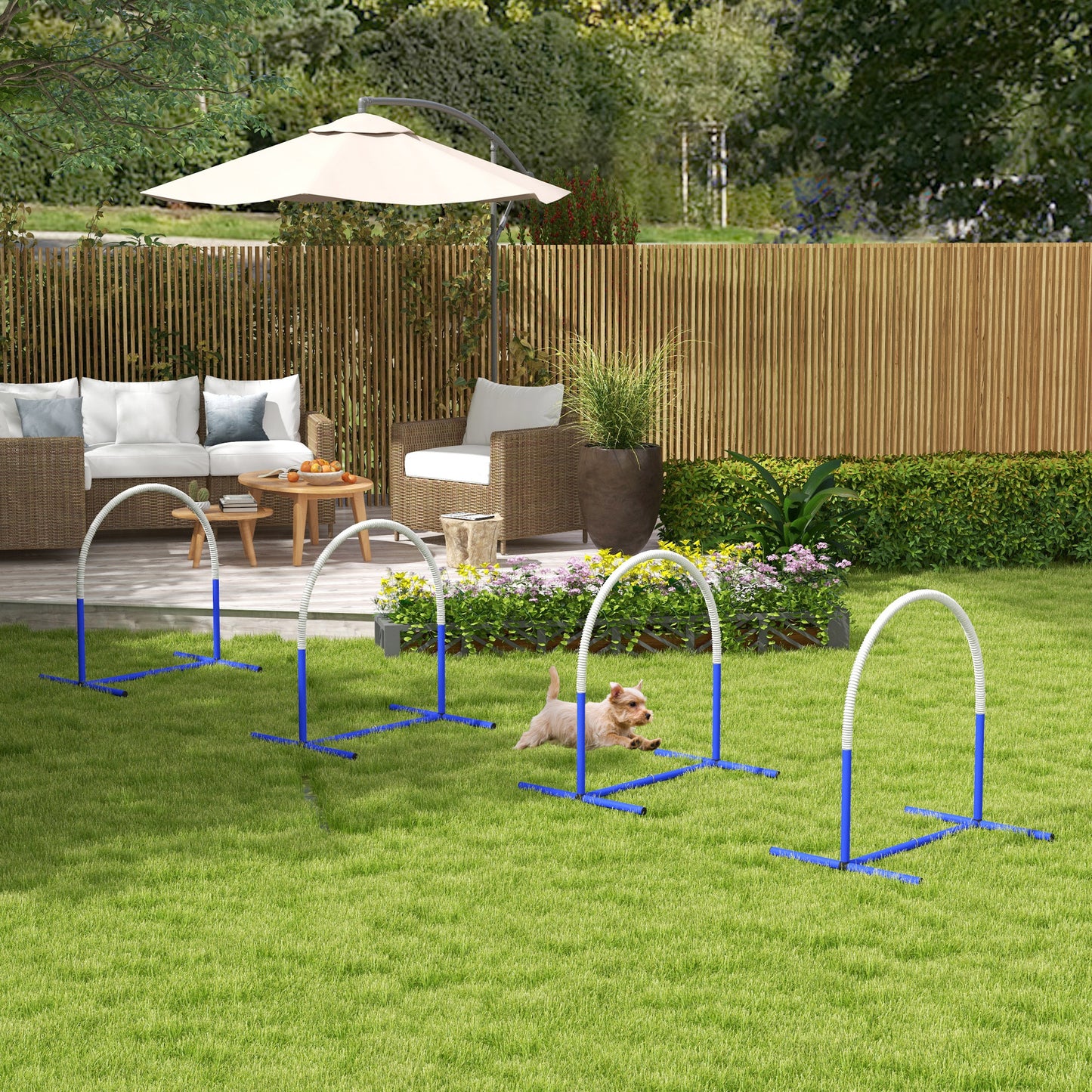 Pawhut Set De Entrenamiento De Agilidad Para Perros De 4 Piezas Blanco Y Azul_1