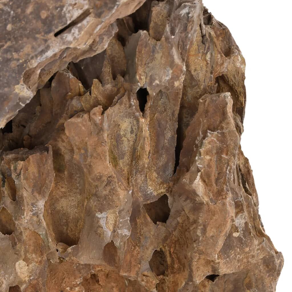 Vidaxl Piedras De Dragón Mezcla De Colores 10 Kg 10-30 Cm_3