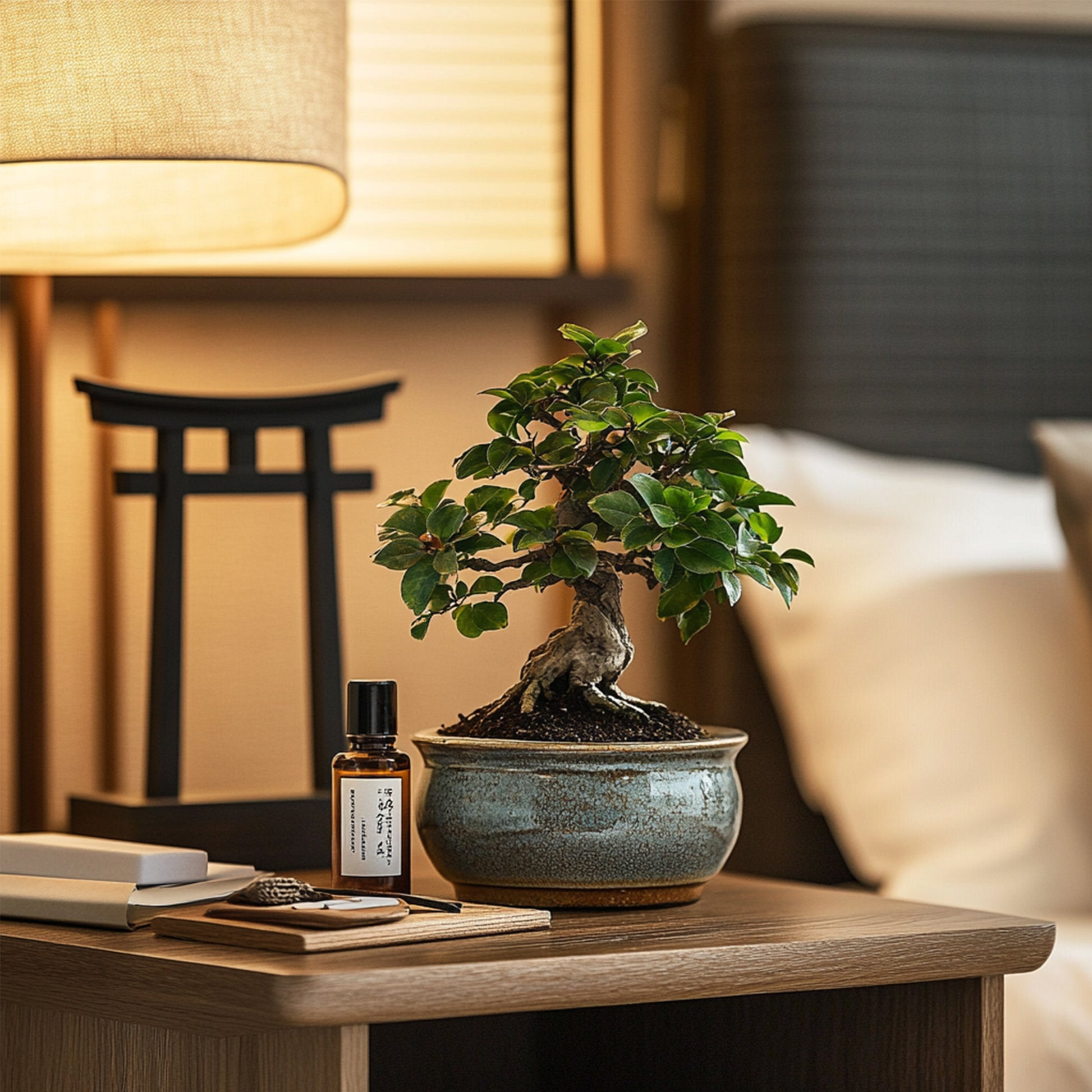 Bonsái - Carmona Microphylla - Altura 25-30cm - ⌀15cm