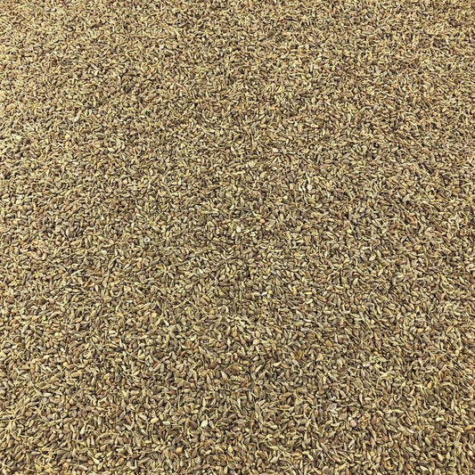 Semillas De Anis Verde Bio Granel 0,5 Kg_0