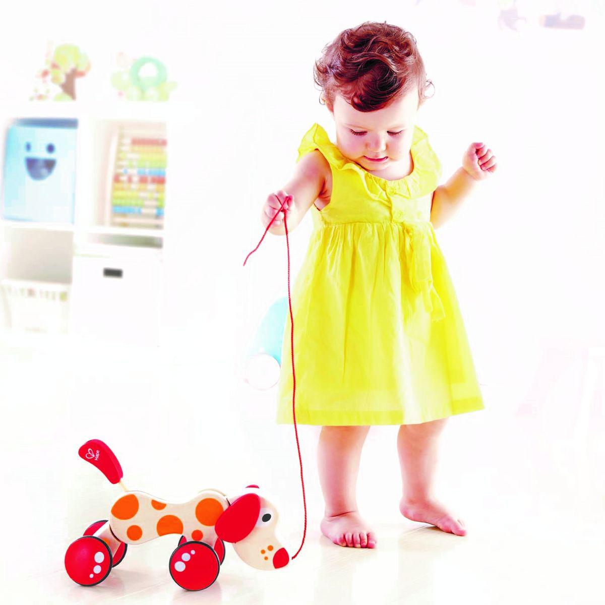 Arrastre Perrito Pepe Hape_3