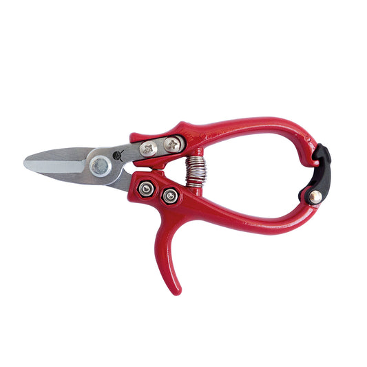 Tijera Mediterráneo_0