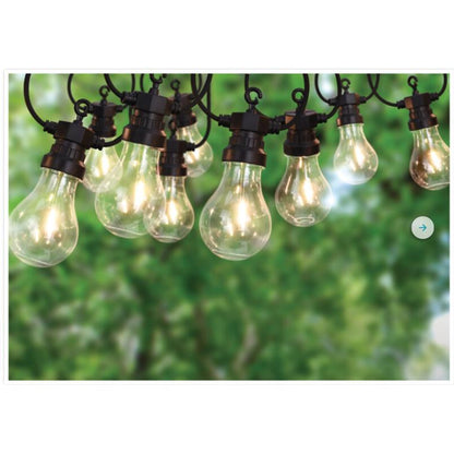 Guirnalda LED 10 bombillas Blanco